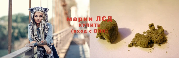 ПСИЛОЦИБИНОВЫЕ ГРИБЫ Алзамай