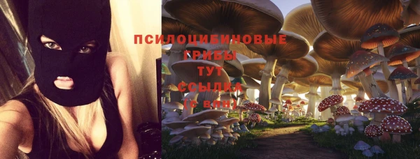 прущая мука Алексин