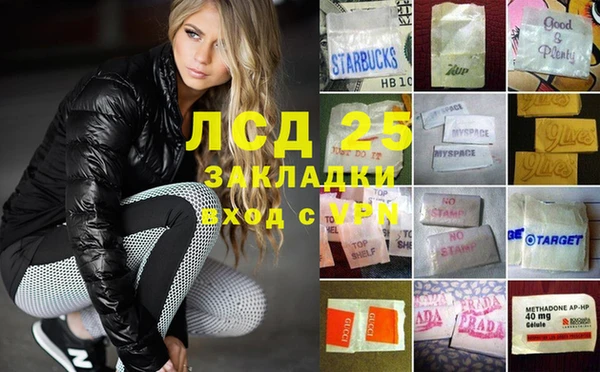 ПСИЛОЦИБИНОВЫЕ ГРИБЫ Алзамай