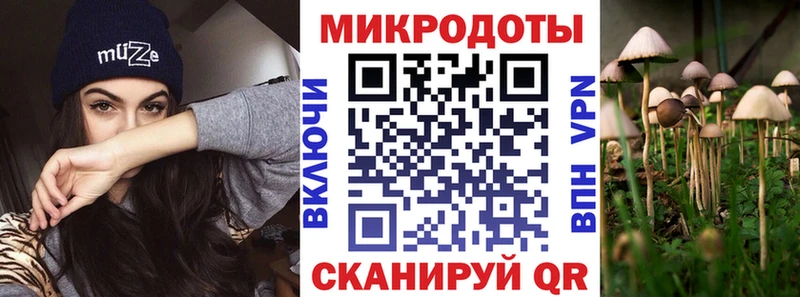 Купить где  Ардон  Псилоцибиновые грибы Magic Shrooms 